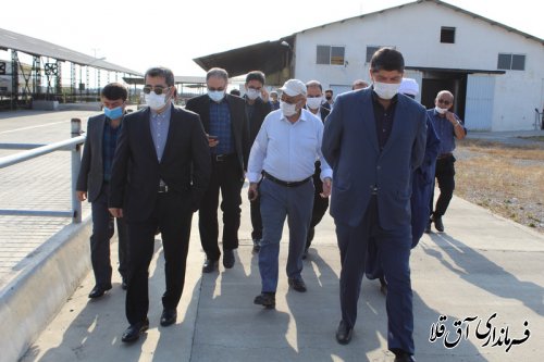 معاون هماهنگی و توسعه منطقه ای وزارت کشور وارد شهرستان آق قلا شد