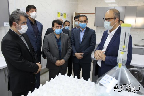 معاون هماهنگی و توسعه منطقه ای وزارت کشور وارد شهرستان آق قلا شد