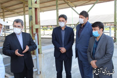 معاون هماهنگی و توسعه منطقه ای وزارت کشور وارد شهرستان آق قلا شد