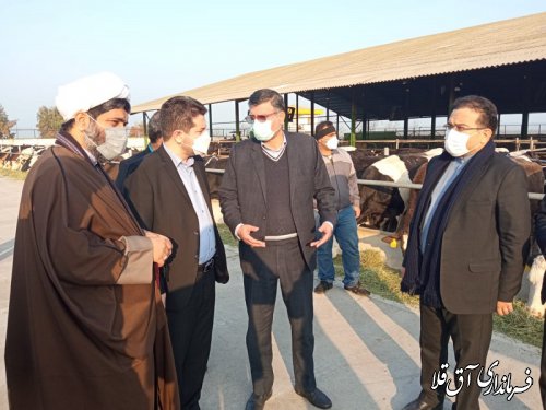 معاون هماهنگی امور اقتصادی استاندار گلستان از واحد گاوداری تک نام بازدید بعمل آورد