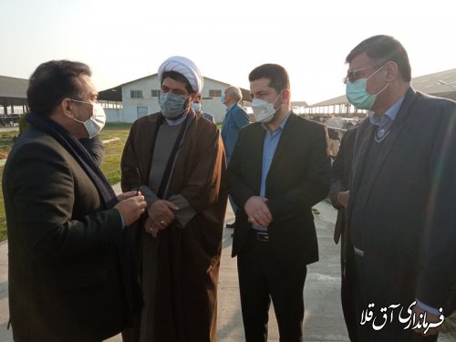 معاون هماهنگی امور اقتصادی استاندار گلستان از واحد گاوداری تک نام بازدید بعمل آورد