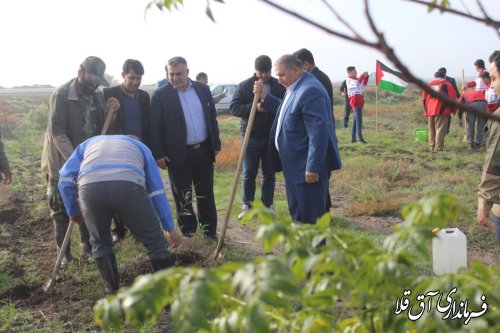 برگزاری طرح مردمی  کاشت یک میلیارد  درخت