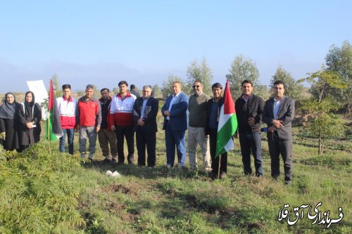 برگزاری طرح مردمی  کاشت یک میلیارد  درخت
