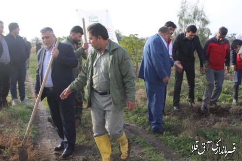برگزاری طرح مردمی  کاشت یک میلیارد  درخت